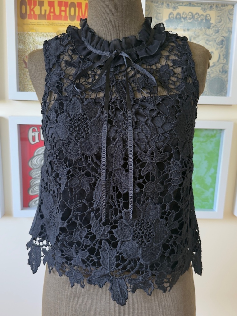 Romantic Black Floral Lace High Neck Top Victorian Gothic Sheer Crochet Coquette